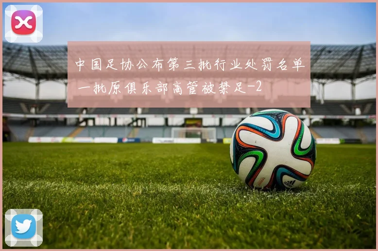 中国足协公布第三批行业处罚名单 一批原俱乐部高管被禁足