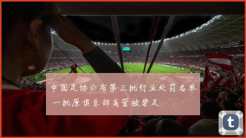 中国足协公布第三批行业处罚名单 一批原俱乐部高管被禁足